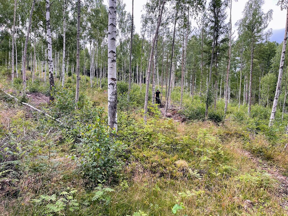 Rättviksbacken