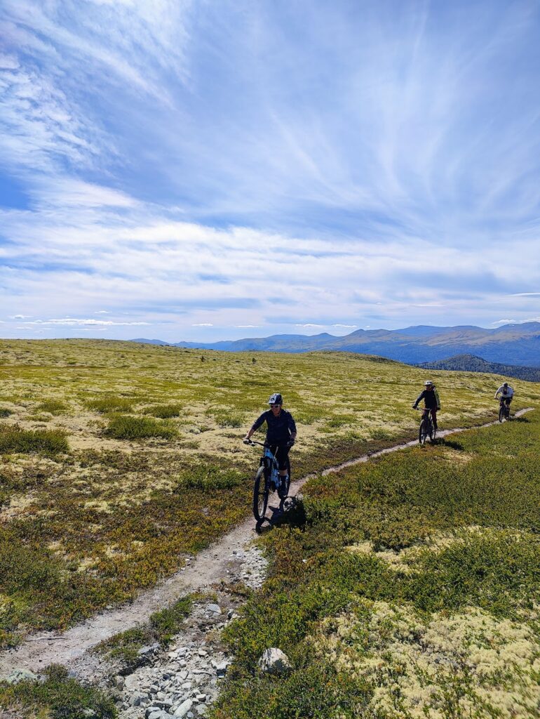 Alvdal MTB Festival