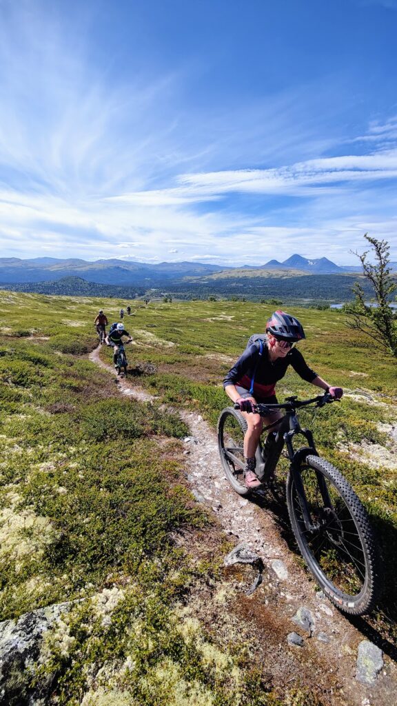 Alvdal MTB Festival