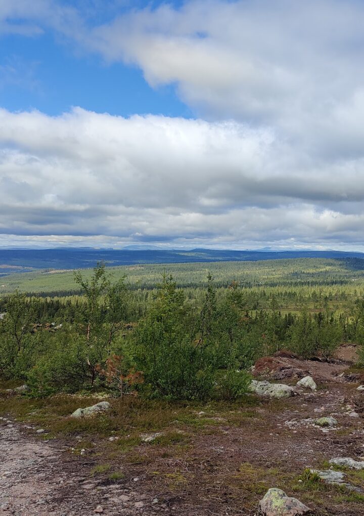 Lofsdalen Fjällpark MTB