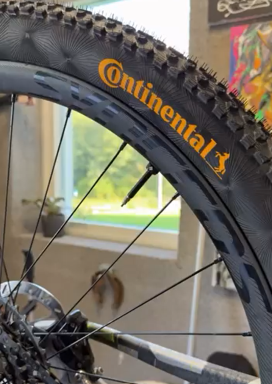 Continental Dubnital Race Rapid MTB däck