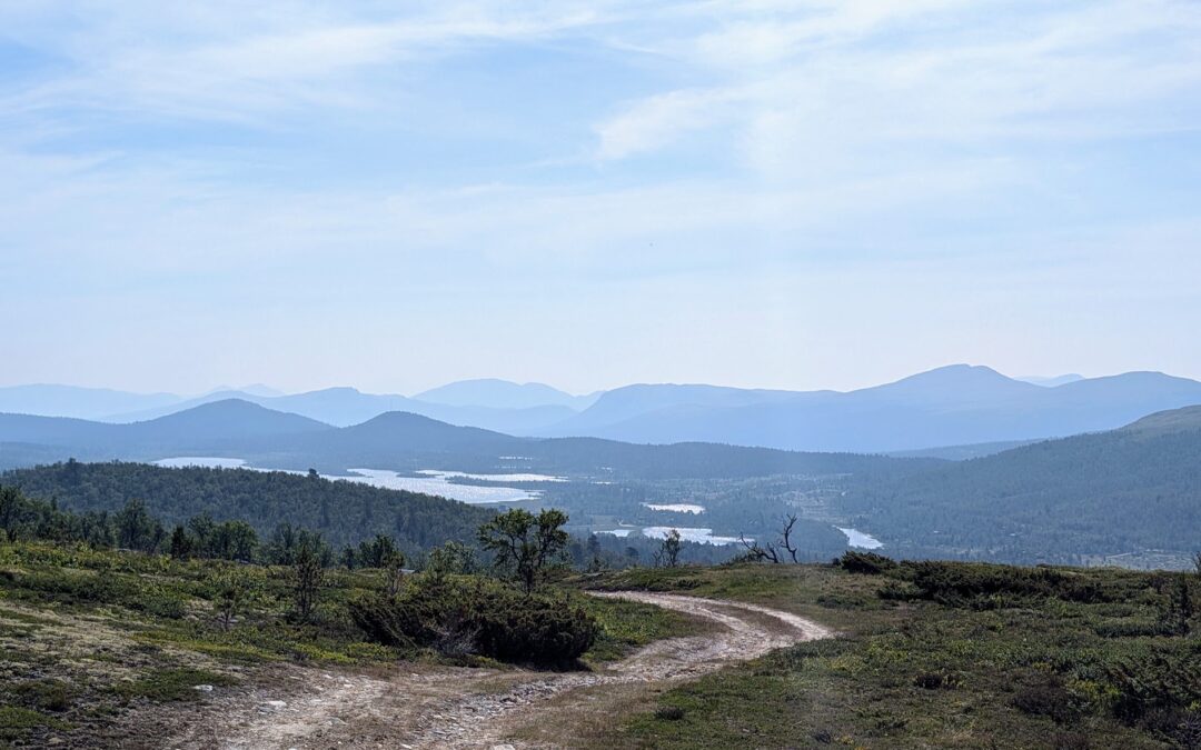 Fjällcykling i Alvdal – en heldag bland Norges vackraste stigar