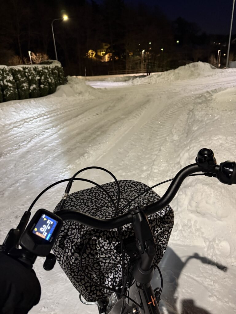 Cykeltillbehör för stadscykling från Weathergoods Sweden