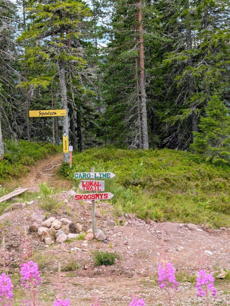 Gesunda Bike Park