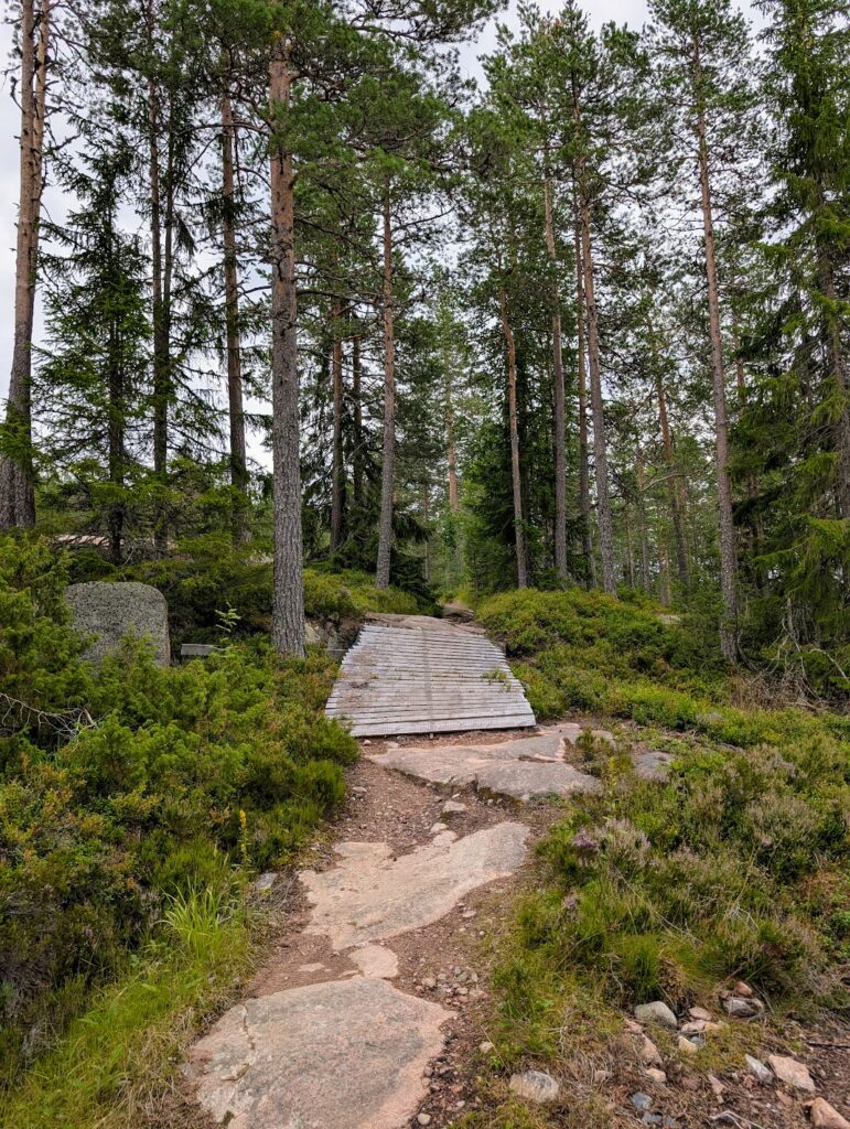 Gesunda Bike Park
