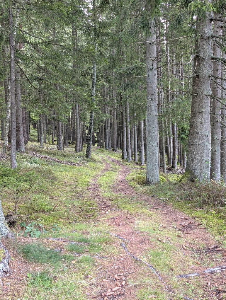 Hällesdalens gård