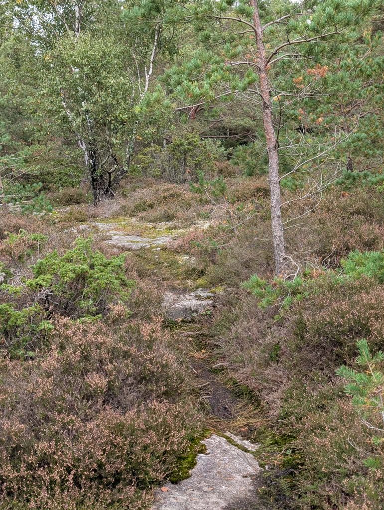 Hällesdalens gård